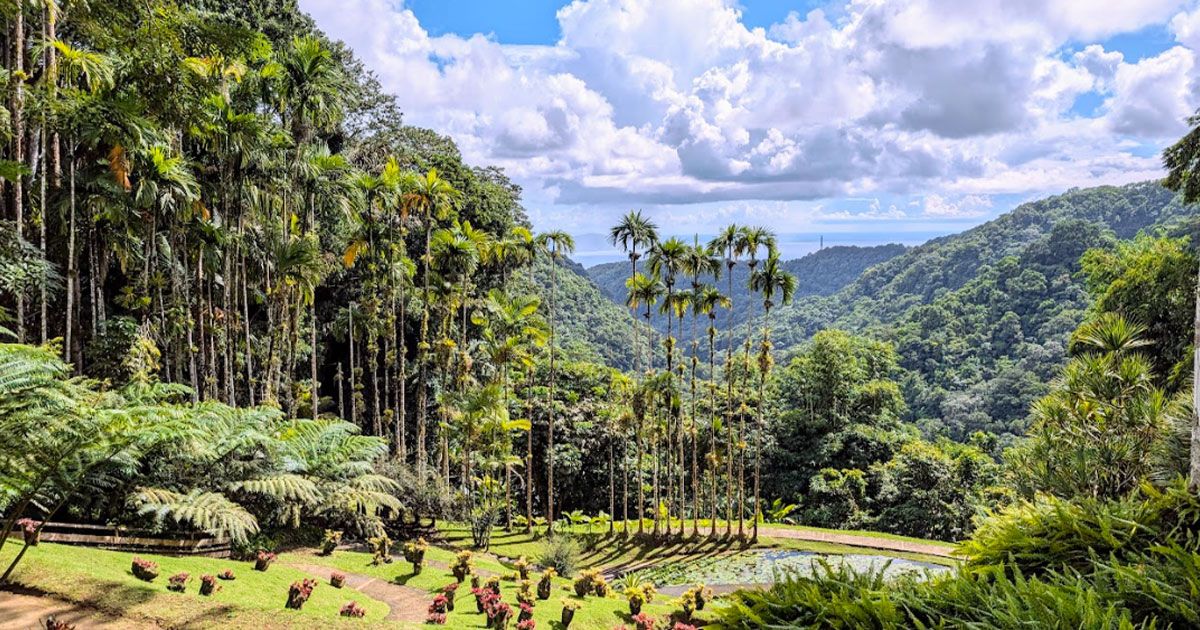 Jardins tropicaux Martinique