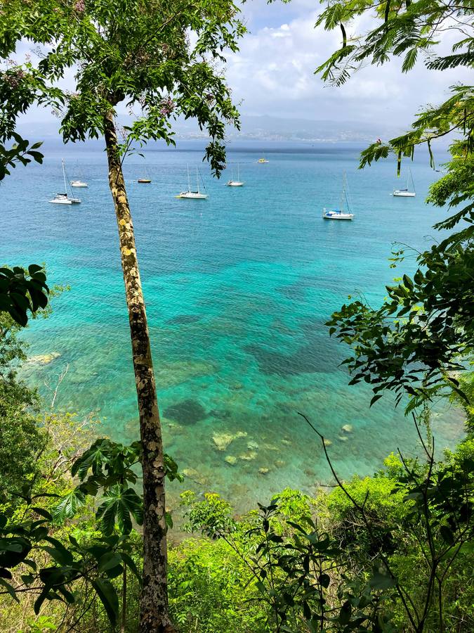 Baie turquoise Martinique