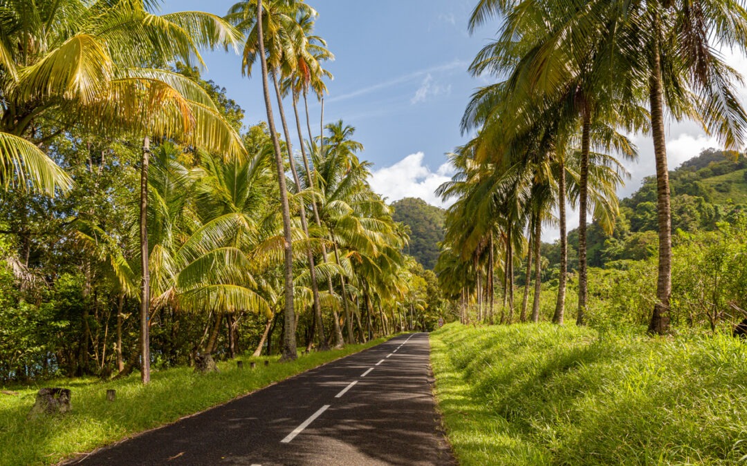 location voiture Martinique