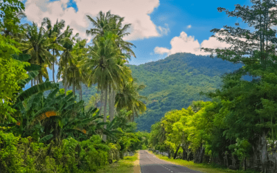 Avril 2025 en Martinique : les 5 spots secrets à découvrir avec une voiture de location