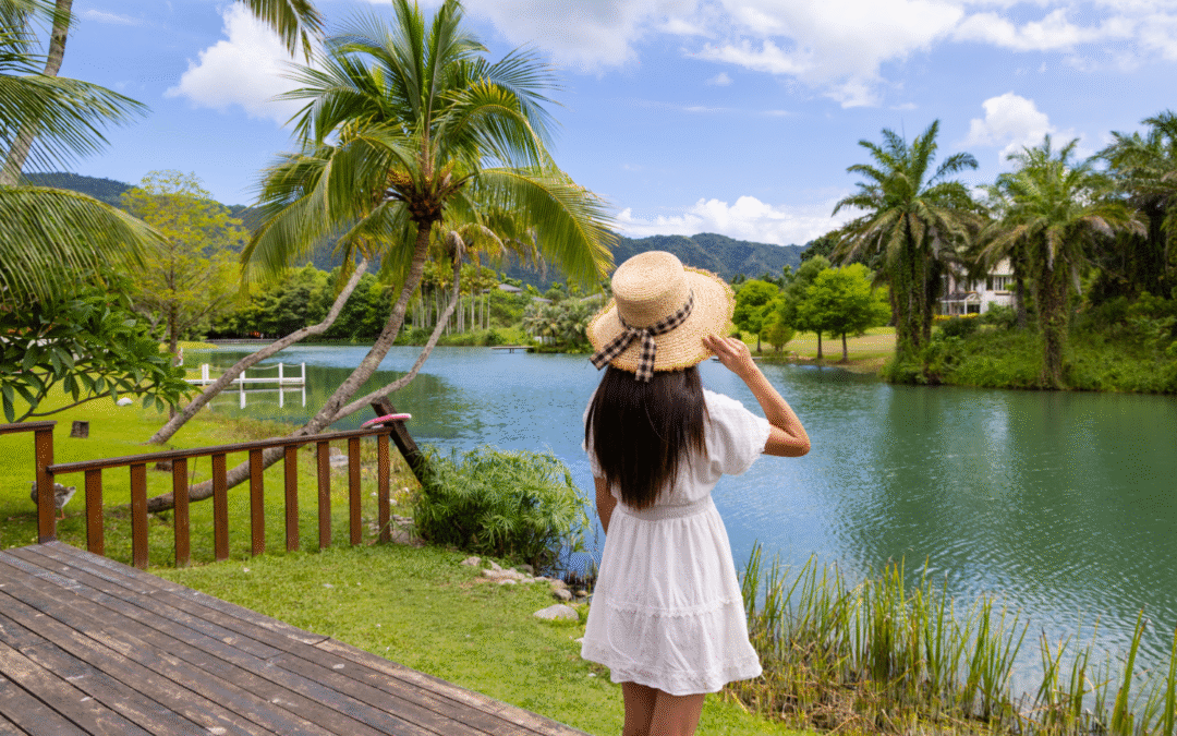 Quelle est la meilleure période pour partir en Martinique ? (Climat, Prix, Affluence)