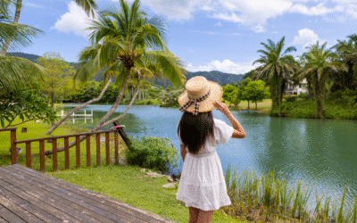Quelle est la meilleure période pour partir en Martinique ? (Climat, Prix, Affluence)