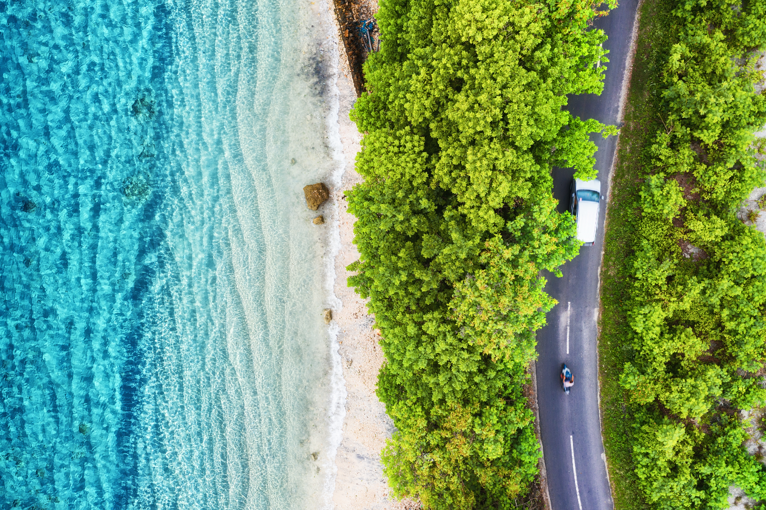 Découvrir les plages sauvages du nord de la Martinique